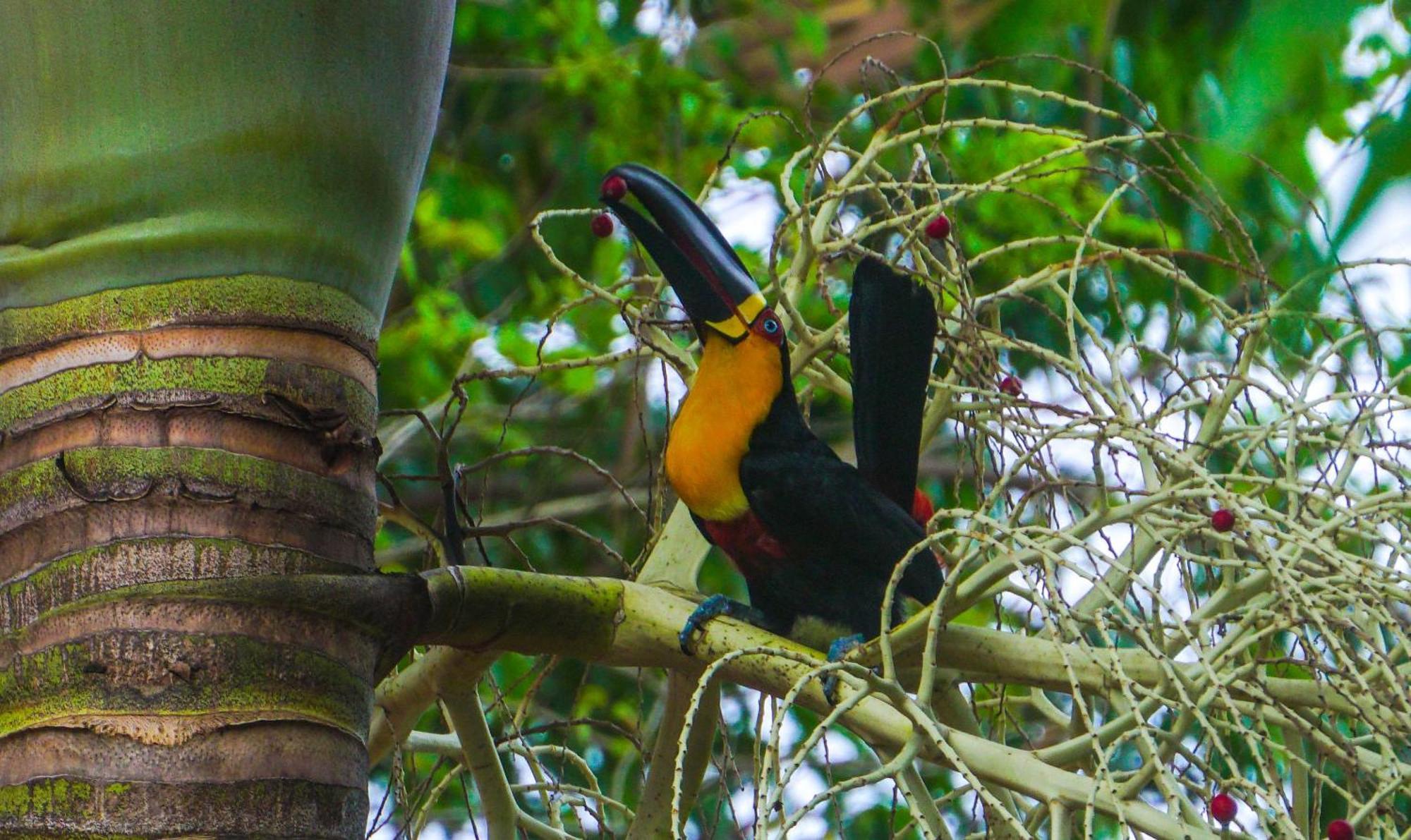 Pousada Do Moca Florianópolis Kültér fotó